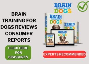 BRAIN TRAINING FOR DOGS reviews consumer reports compressed