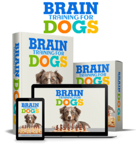  brain training for dogs reviews consumer reports