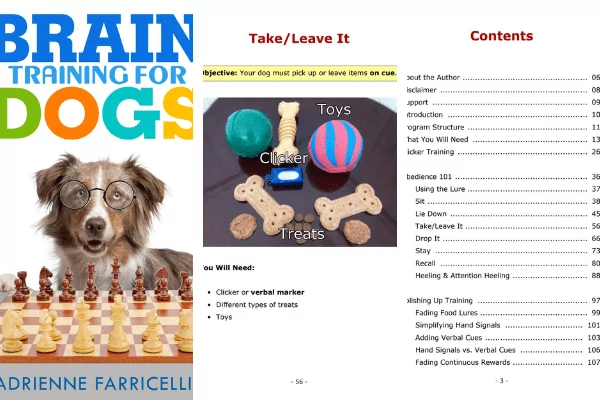 Brain Training For Dogs