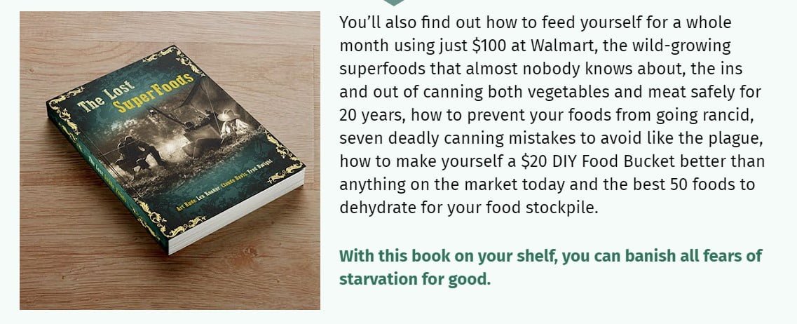 The lost superfood book reviews