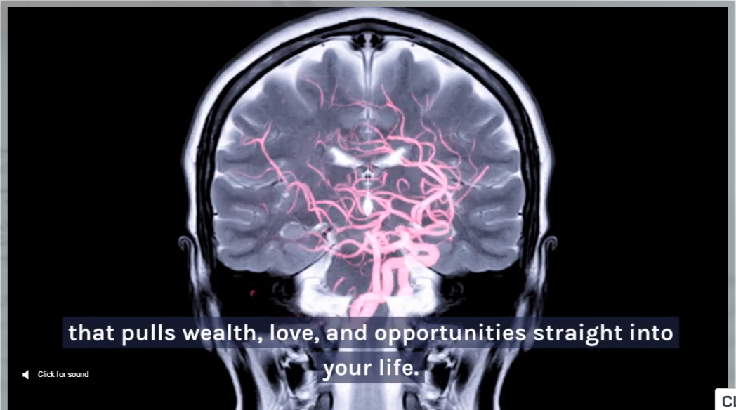 Pymander Wealth Script reviews