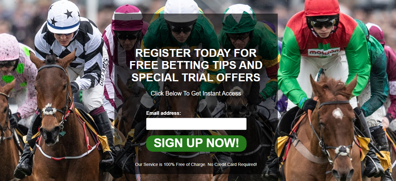 Platinum Tipster Network reviews