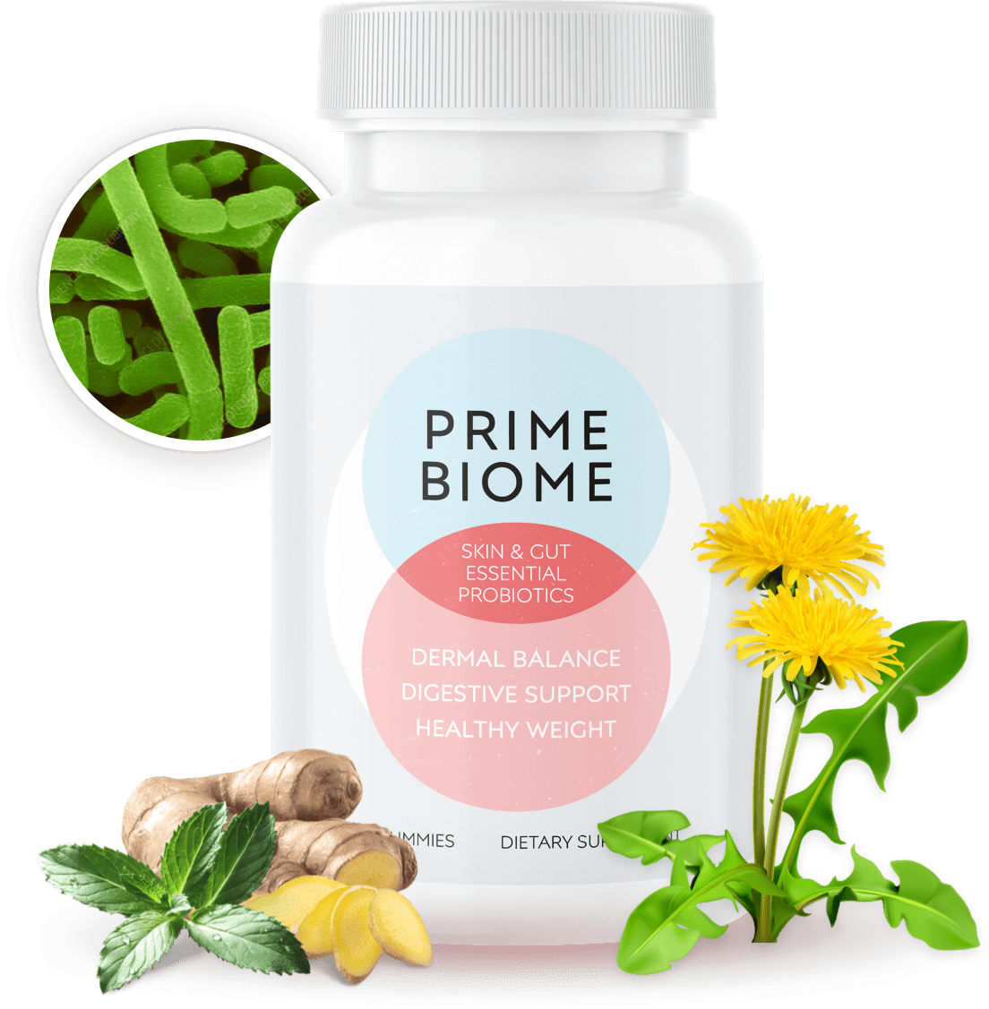 PrimeBiome consumer reports