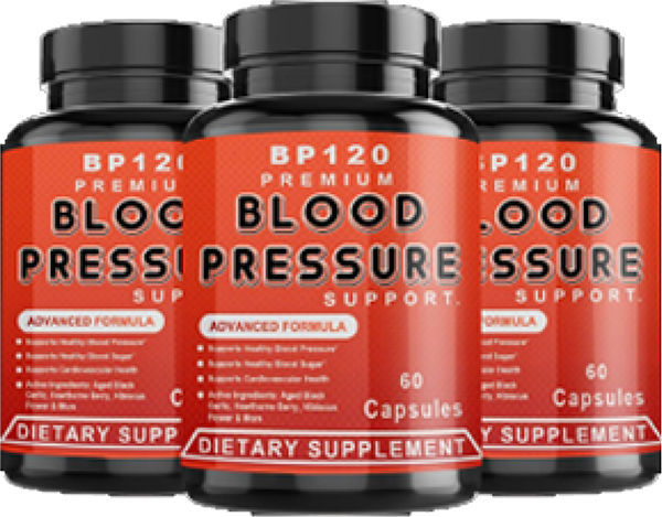 bp120 premium blood pressure support