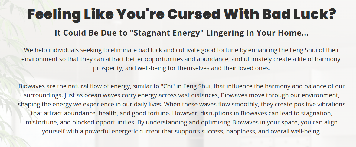 Biowaves Prosperity Stone Lions consumer reports