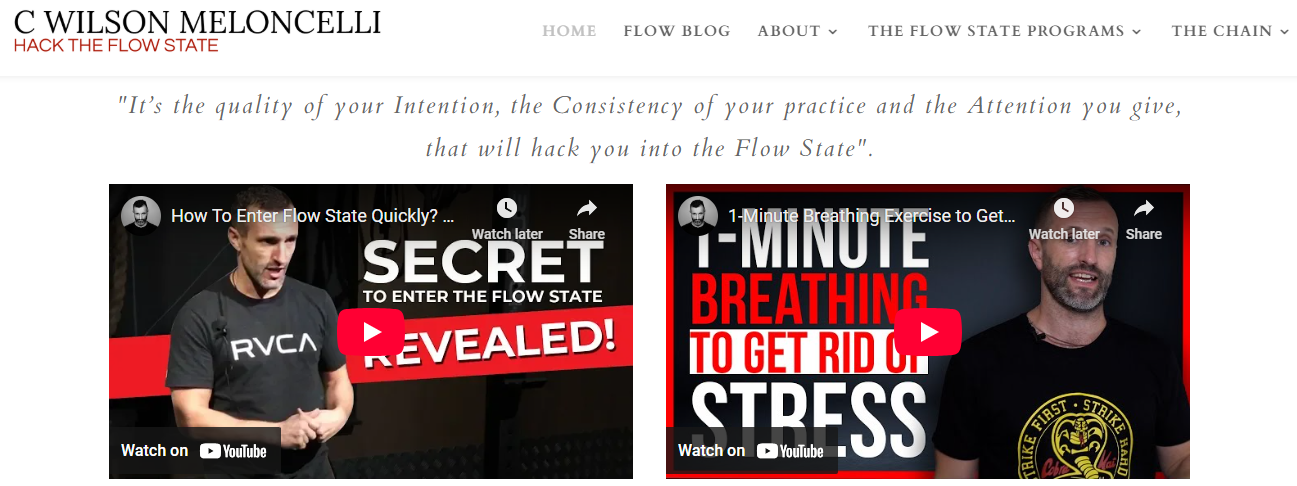 Flow State Training Program reviews
