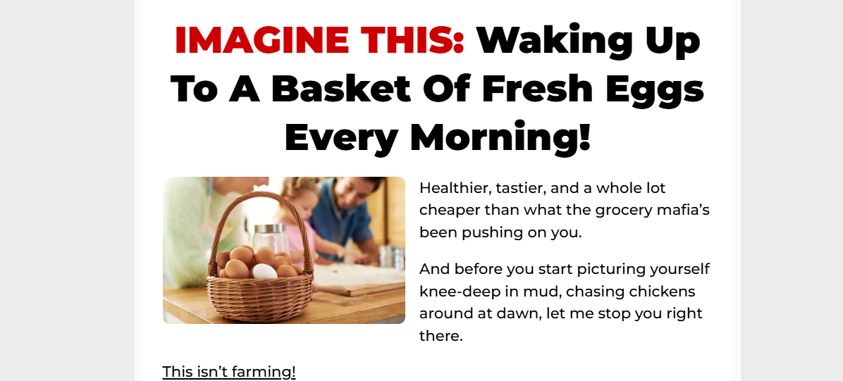 TheEggsFactory reviews